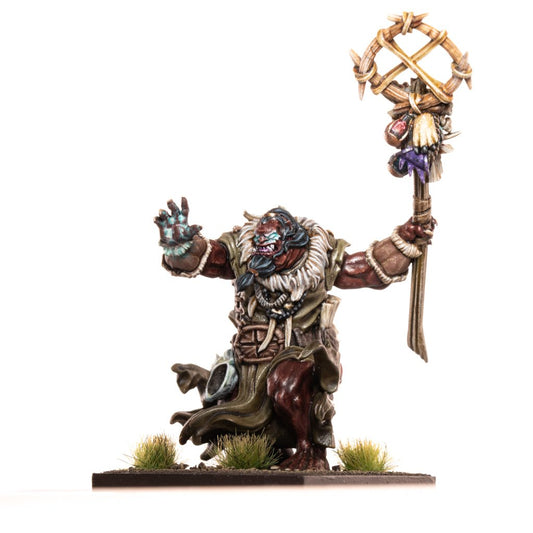 KoW Ogres - Ogre Warlock